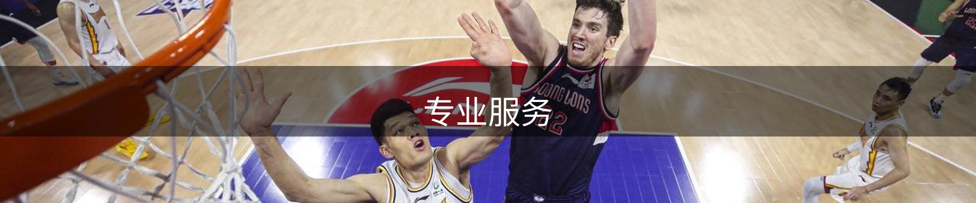 专业服务